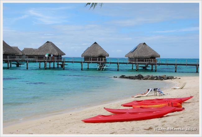 Moorea064.JPG